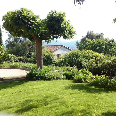Les Collines De St Paul Bed & Breakfast
